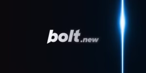 Bolt.new Pro – 1 Year Subscription
